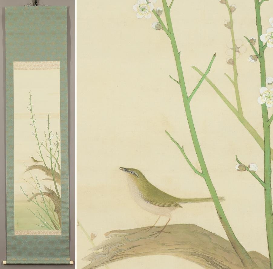 【不明】◆石圃◆白梅◆花鳥◆日本画◆肉筆◆絹本◆掛軸◆r198