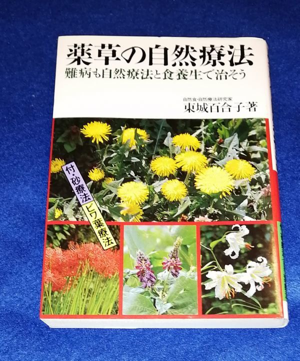 ○○　薬草の自然療法　難病も自然療法と食養生で治そう　東城百合子著　2002年発行　池田書店　H042P52_画像1