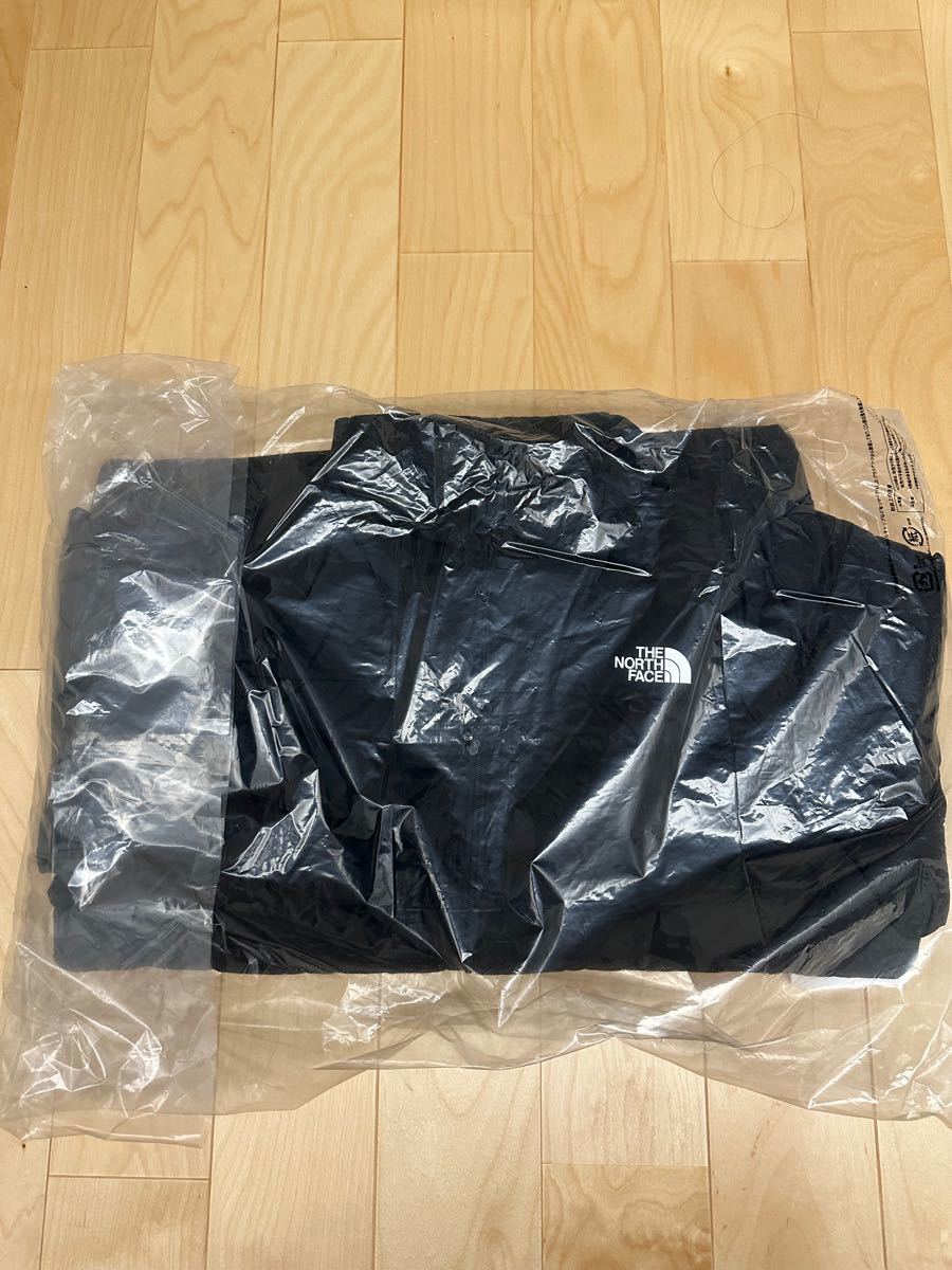 WEB限定カラー THE NORTH ノースフェイス FACE 19AW ノースフェイス