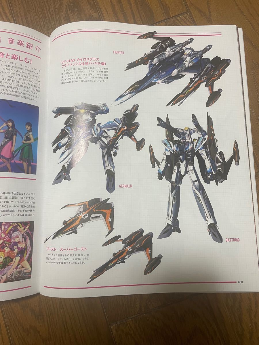 DX超合金 初回限定版 VF-31AX カイロスプラス (ハヤテ機 DX超合金 初回限定版 VF-31AX カイロスプラス (ハヤテ機