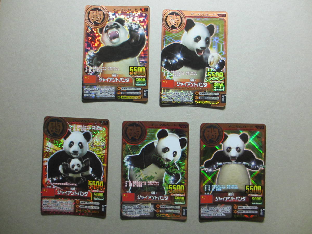 百獣大戦 アニマルカイザー 金枠カード ジャイアントパンダ ５枚セット