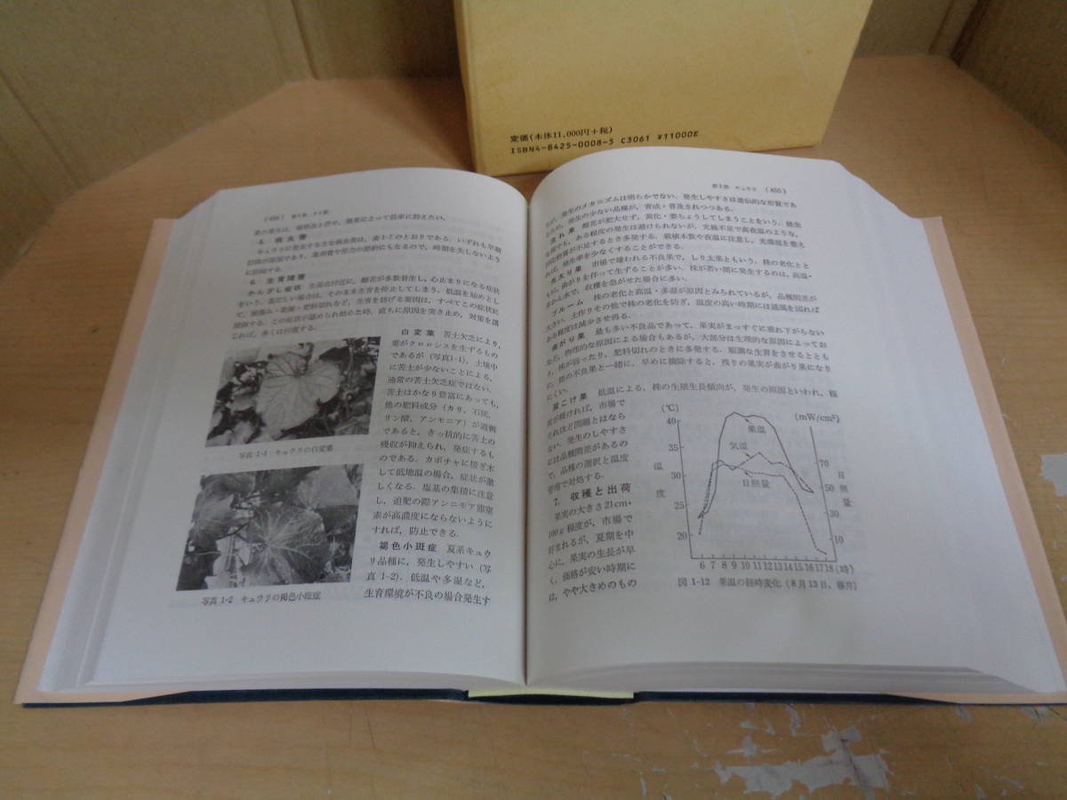  beautiful goods separate volume vegetable gardening hand book ... west . Hara .. Japanese agriculture 