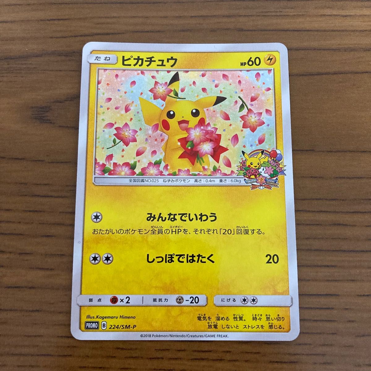 ポケモンカード ポケカ ポケモンセンター プロモ ポケモンカード ポケモンカード ポケカ ポケモンセンター プロモ ポケモンカード