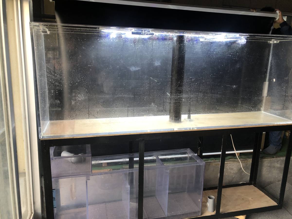 売り切り アクリルオーバーフロー水槽セット 00 400 700 熱帯魚 濾過材 ろ材 大型水槽 ディスカス アルタム 驚きの価格が実現 売り切り アクリルオーバーフロー水槽セット 00 400 700 熱帯魚 濾過材 ろ材 大型水槽 ディスカス アルタム 驚きの価格が実現