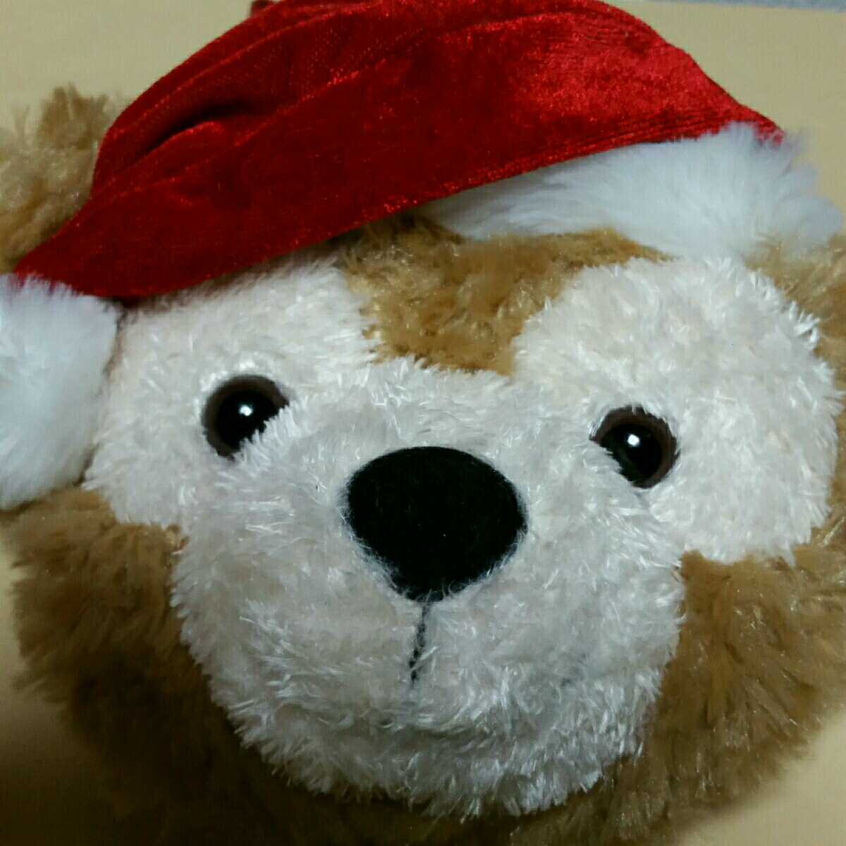 item_image_1