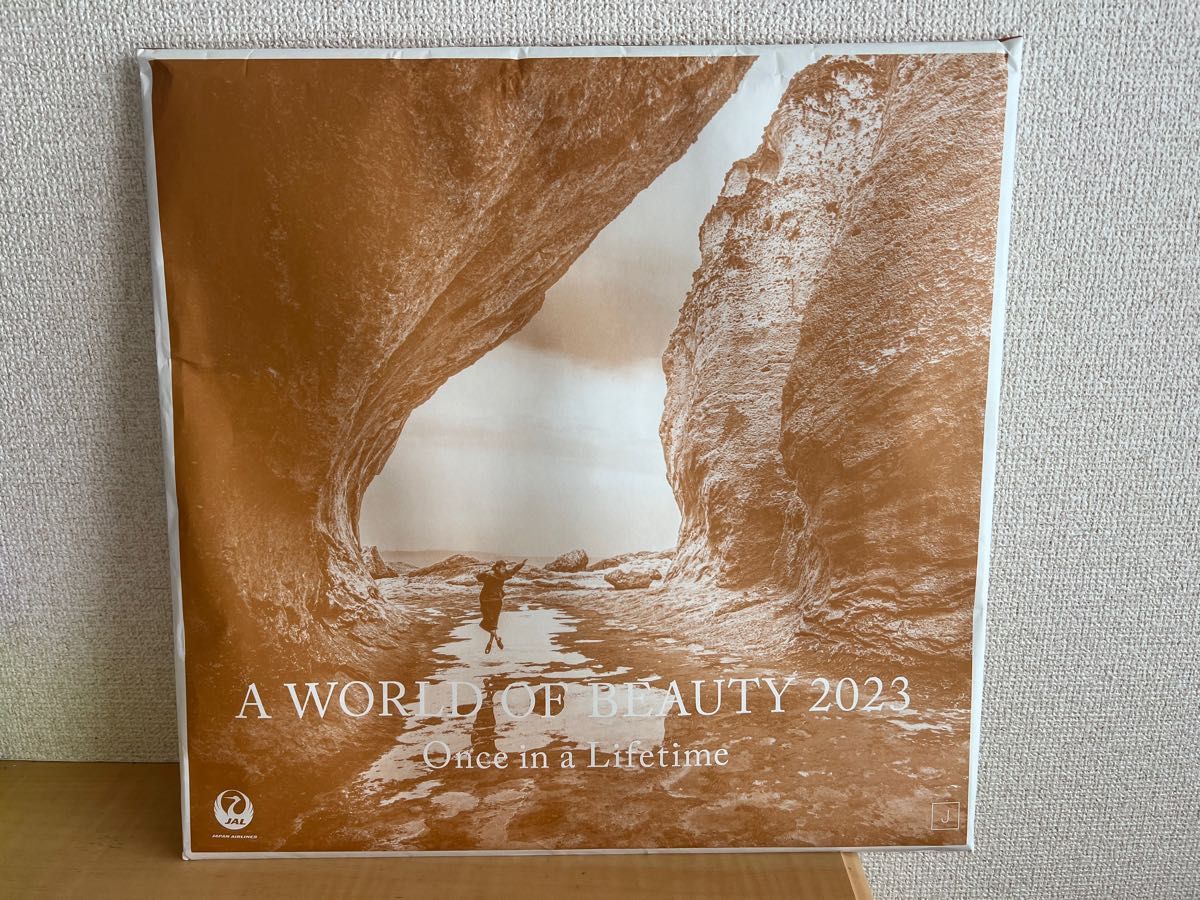 JALカレンダー A World Of Beauty 2023 新品　壁掛