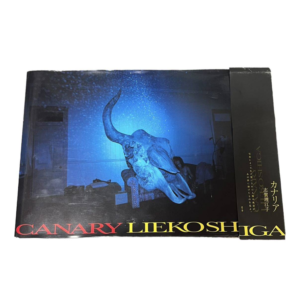 CANARY カナリア 志賀理江子(Lieko Shiga) | 志賀 理江子 写真集 