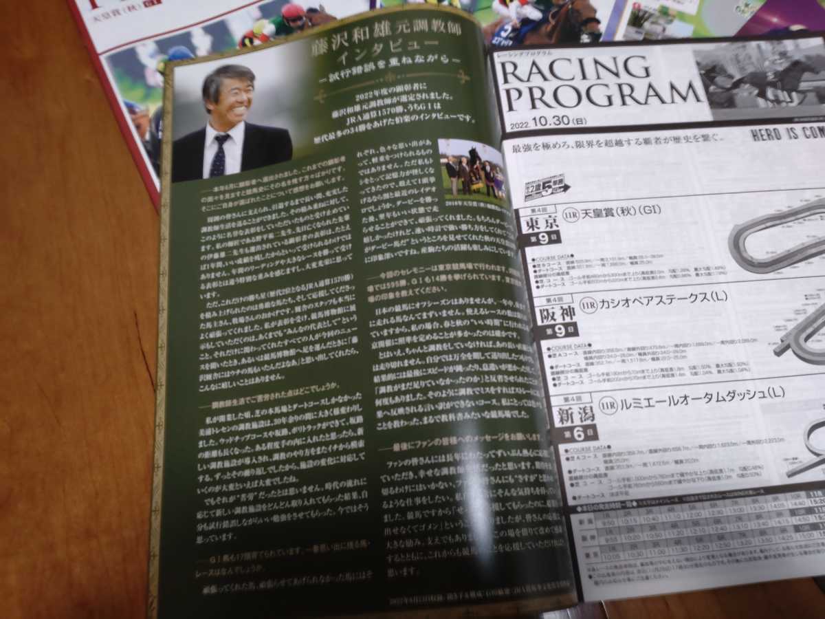 JRA Tokyo horse racing place *2022 year no. 166 times heaven ..( autumn )* Saturday and Sunday color re- Pro & Fujisawa style teacher special version display VERSION re- Pro & all sorts hand present Lee fret 