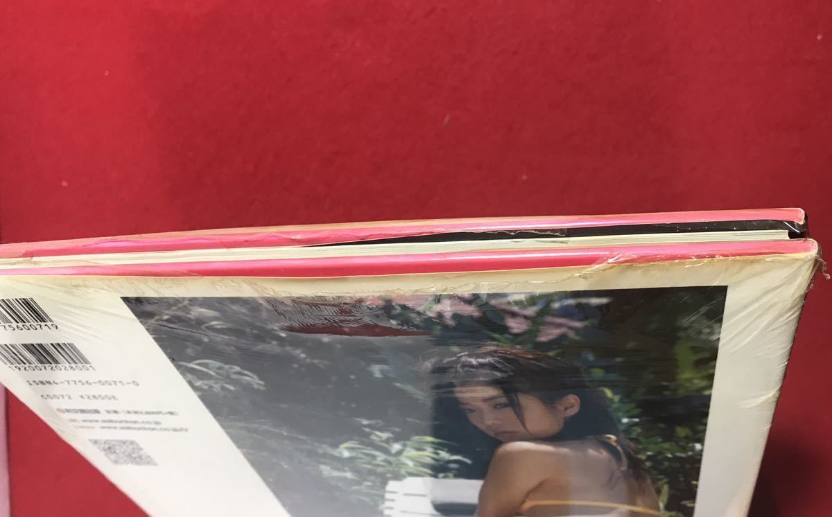 【未開封新品】華彩なな写真集 加納典譲〔撮影〕人妻グラドル　Gカップ　セクシーランジェリー　グラビア　アイドル　座長