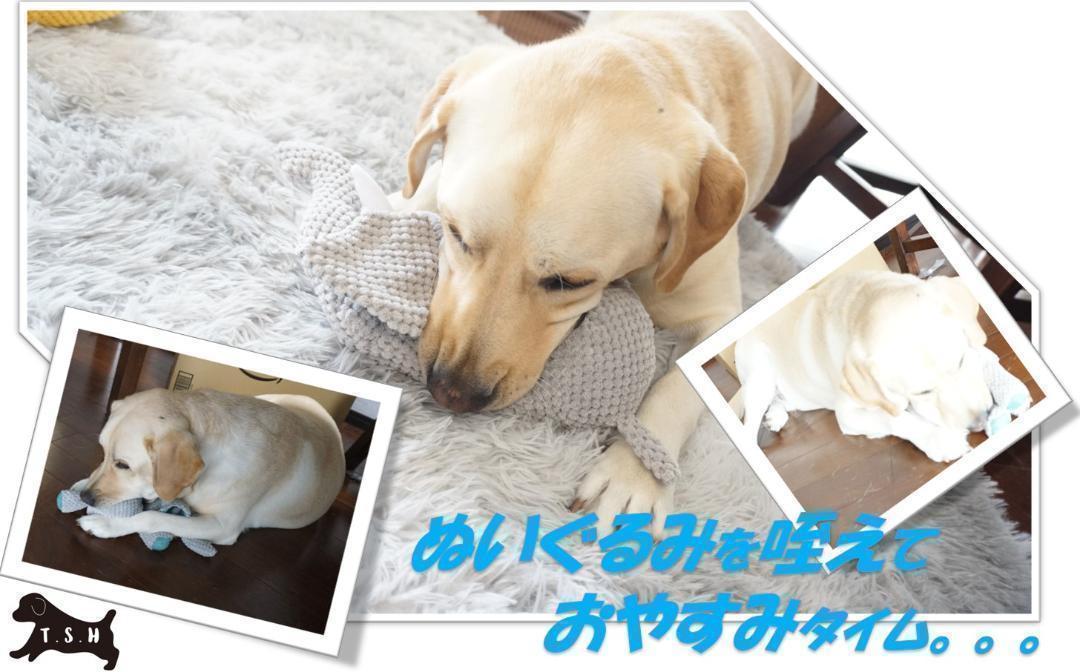 ペット用噛むおもちゃ　３５センチ　ゾウ　犬用ぬいぐるみ_画像5