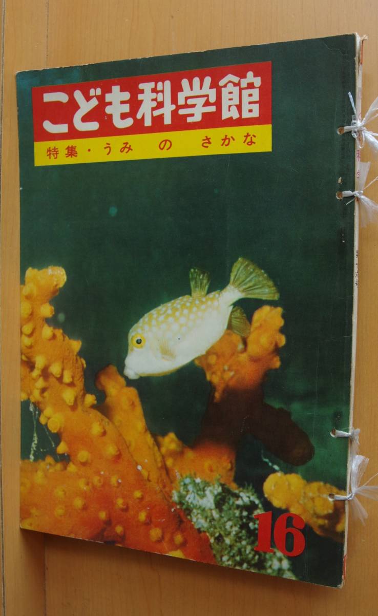 こども科学館 1961年16号 うみのさかな/戸川幸夫x山川惣治/海の魚/昭和36年/昭和レトロ/子供科学館_画像1