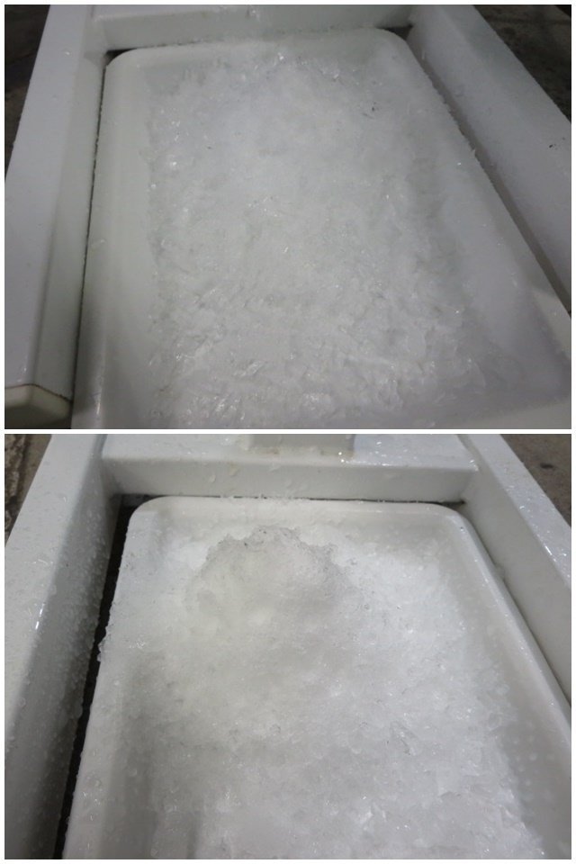 #: Taiwan made chip ice machine M3 diameter 8cm× thickness 4.5cm. jpy record shape ice [1123EI]8AT!