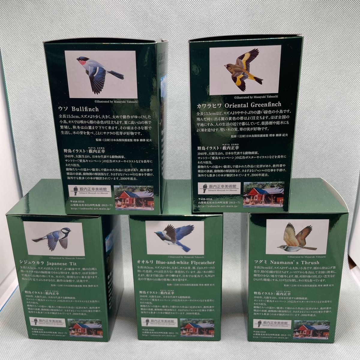 サントリー 白州 森香るハイボールグラス 野鳥シリーズ 5個 サントリー 白州 森香るハイボールグラス 野鳥シリーズ 5個