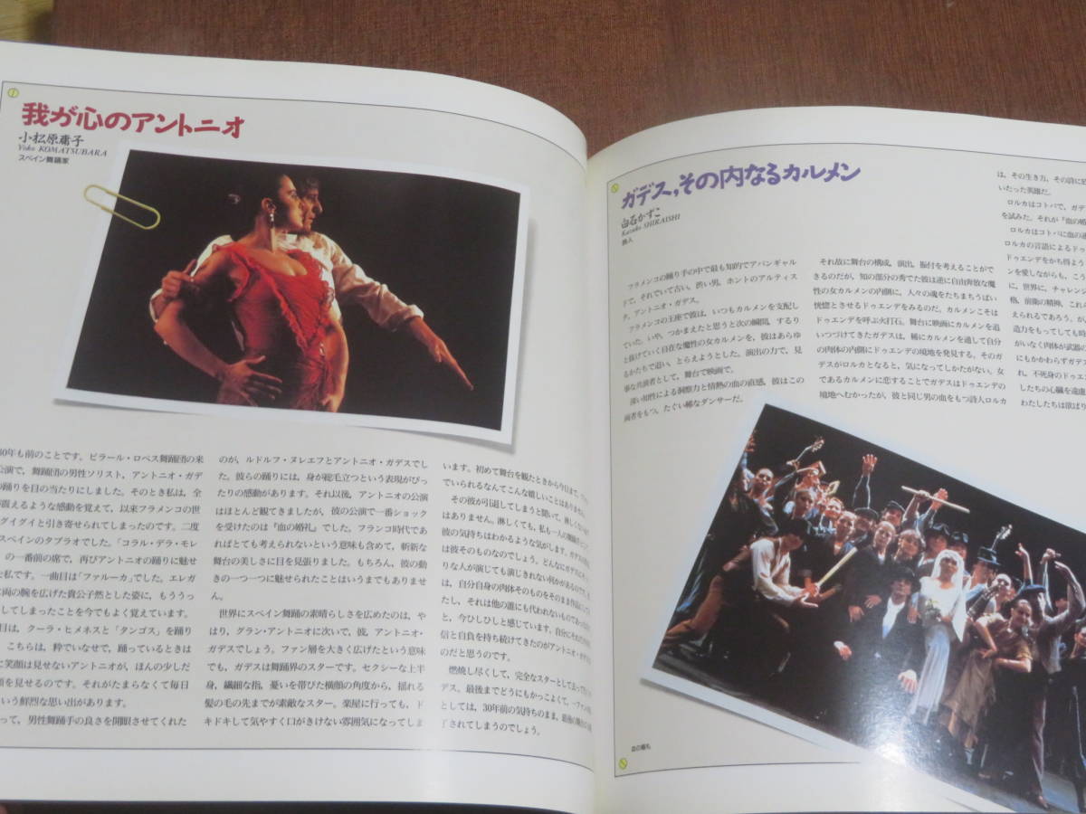 アントニオ・ガデス舞踊団　1991年日本公演　　カルメン　　炎　_画像4