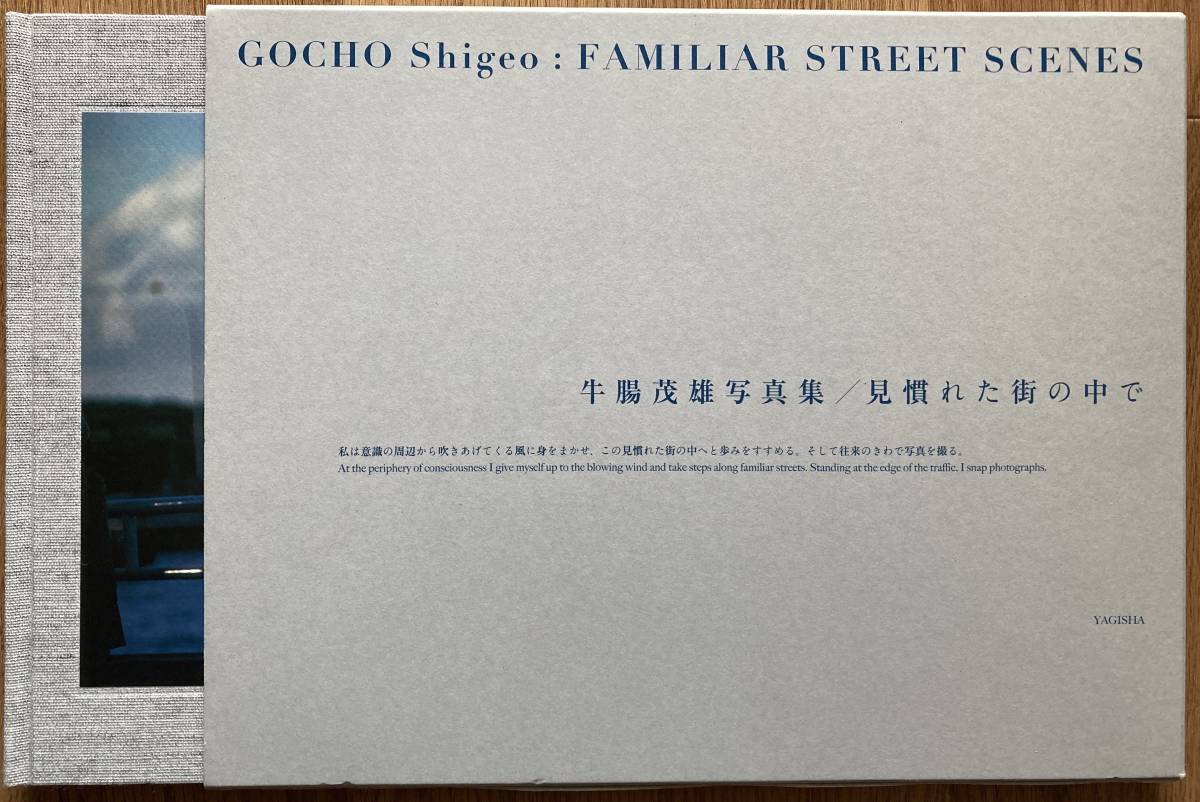 人気沸騰】 見慣れた街の中で 牛腸茂雄 写真集【希少本】 アート