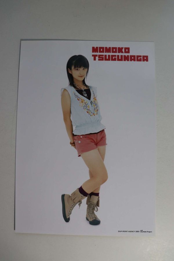 ■Ａ４クリアファイル■「Ｂｅｒｒｙｚ工房コンサートツアー２００５秋　～スイッチ　ＯＮ！～」■嗣永桃子■中古■_画像5