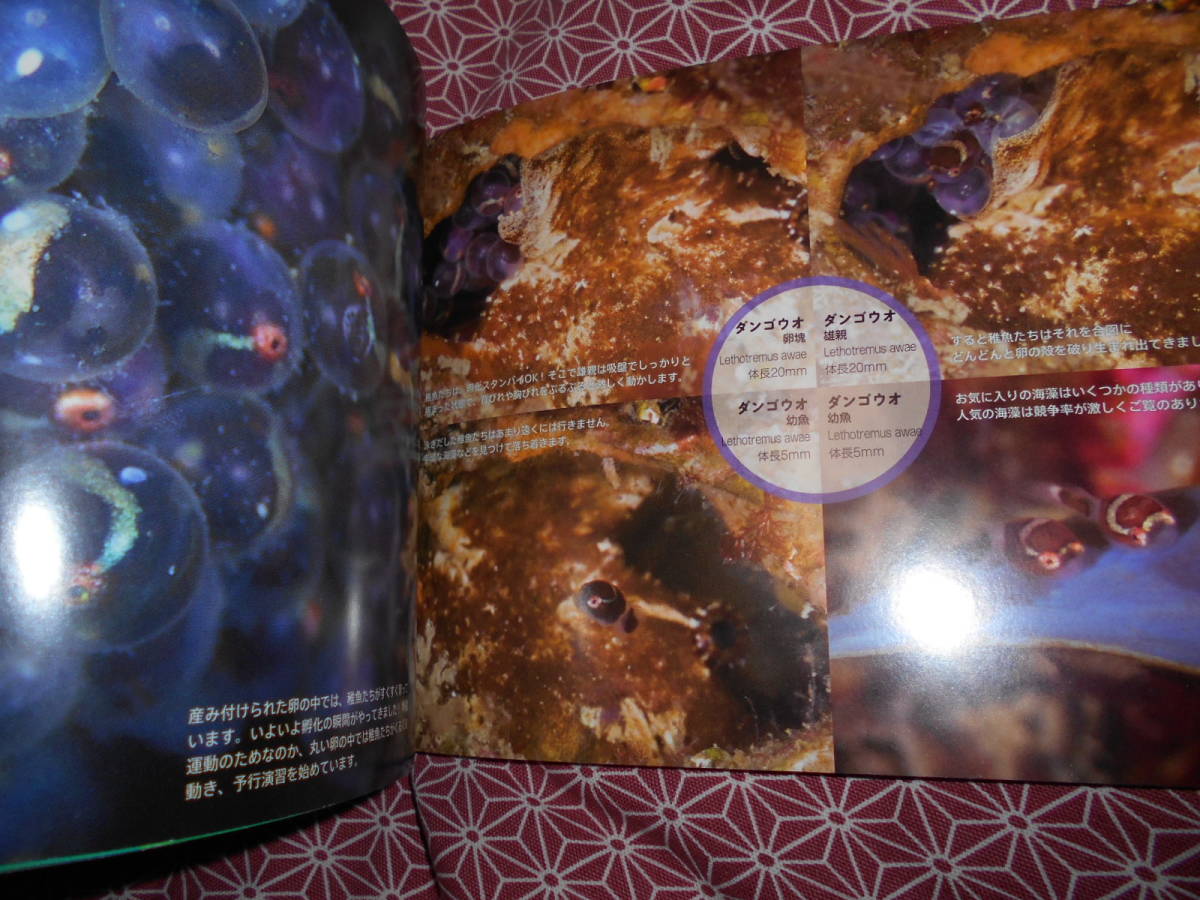 item_image_6