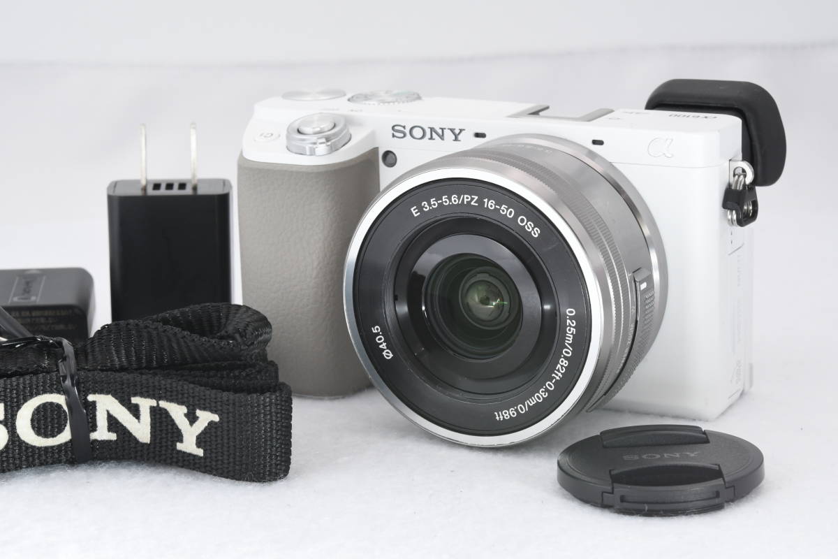 ☆日本の職人技☆ ソニー SONY α6100 (t2029) ILCE-6100 レンズ付き