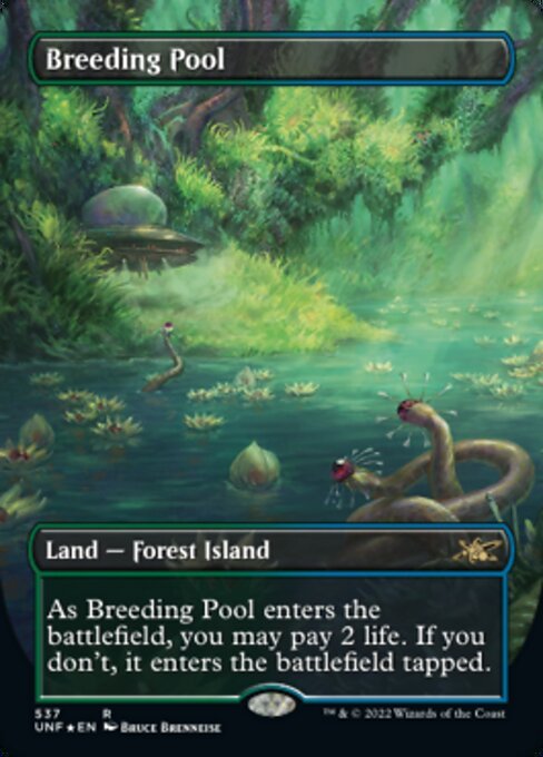 最安値挑戦！】 MTG □土地/英語版□ 《繁殖池/Breeding Pool