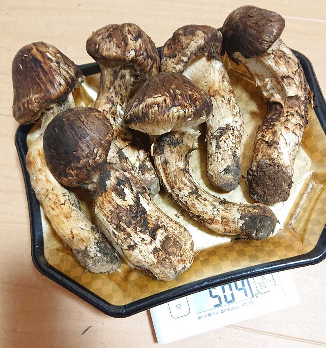 信州産松茸 今季最後です! 野菜 | endageism.com
