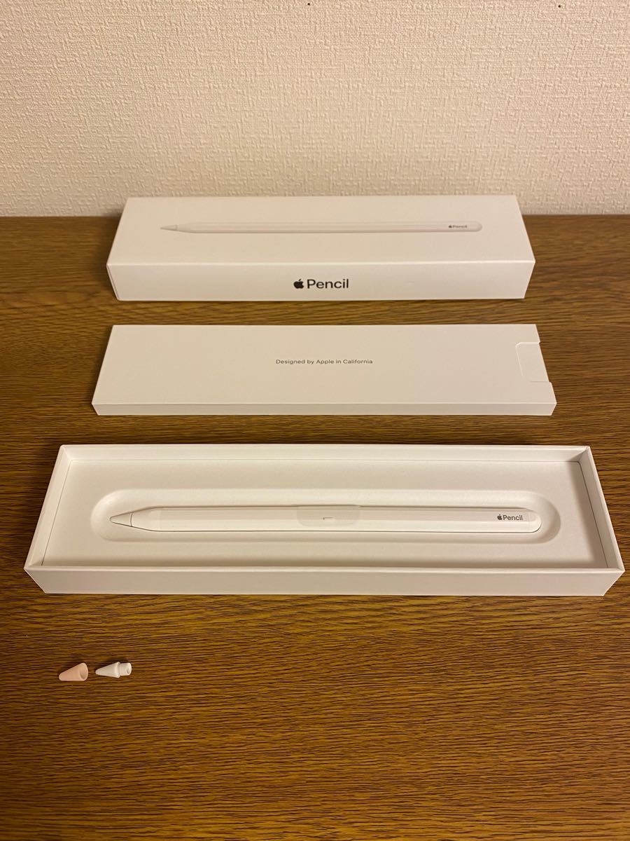 未使用Apple Pencil アップル ペンシル 第2世代-connectedremag.com