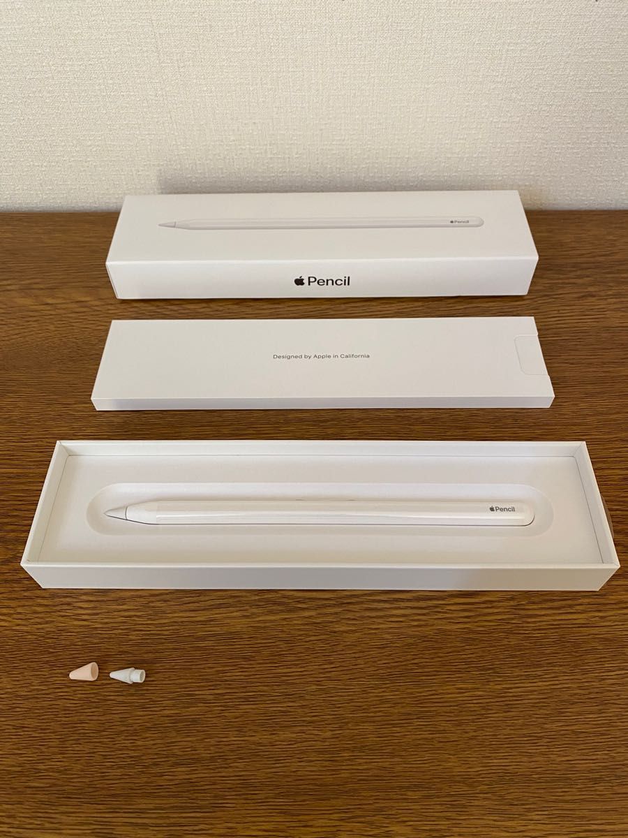 店舗 Apple Pencil アップルペンシル 第2世代 asakusa.sub.jp