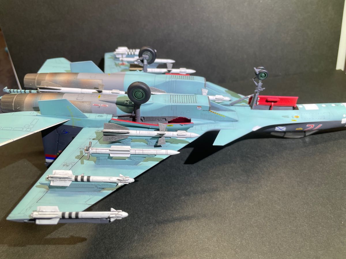 Su-33 フランカー セルジュコフ迷彩 ハセガワ 完成品|PayPayフリマ