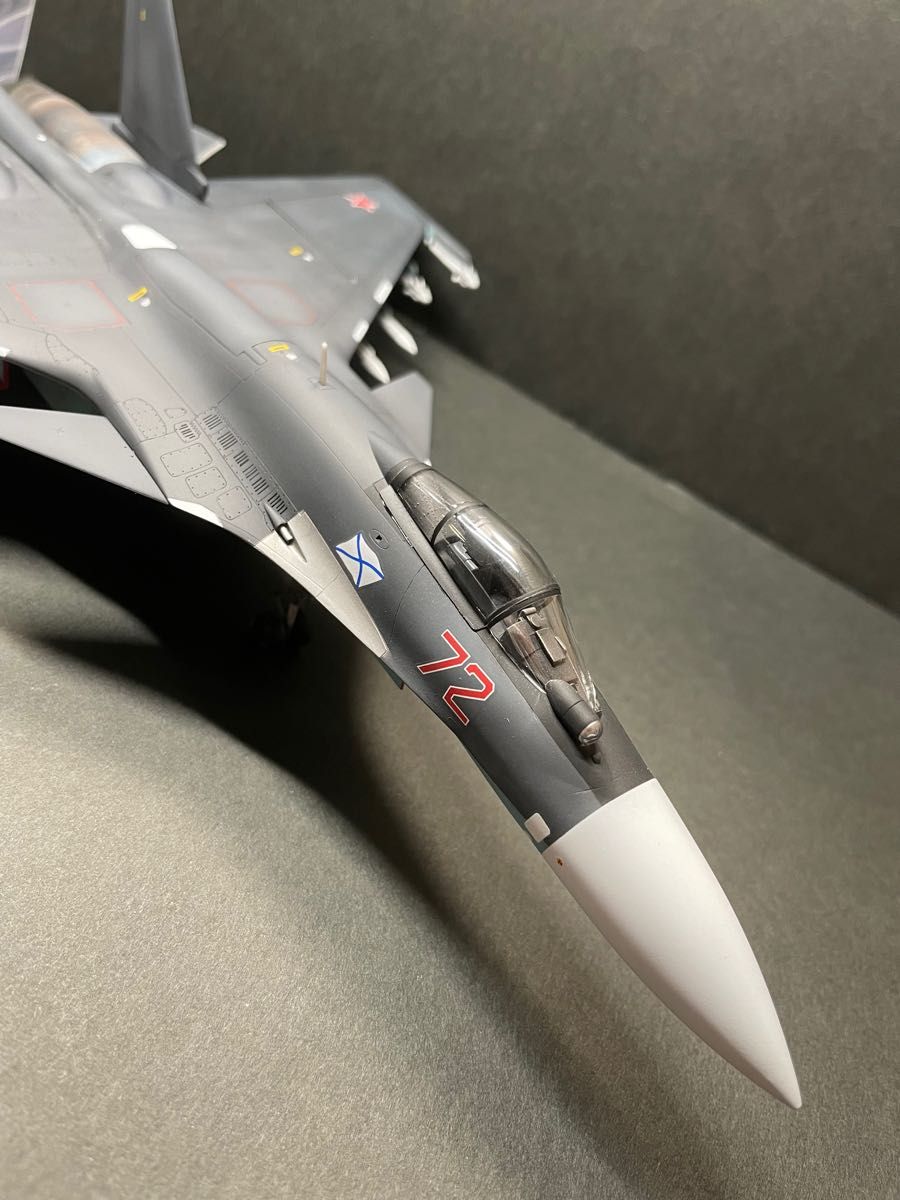 Su-33 フランカー セルジュコフ迷彩 ハセガワ 完成品
