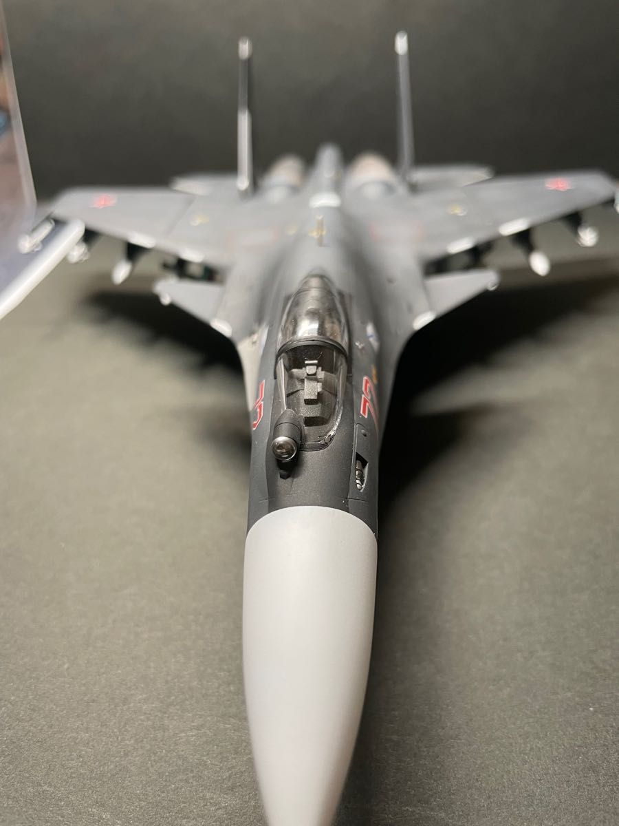 Su-33 フランカー セルジュコフ迷彩 ハセガワ 完成品