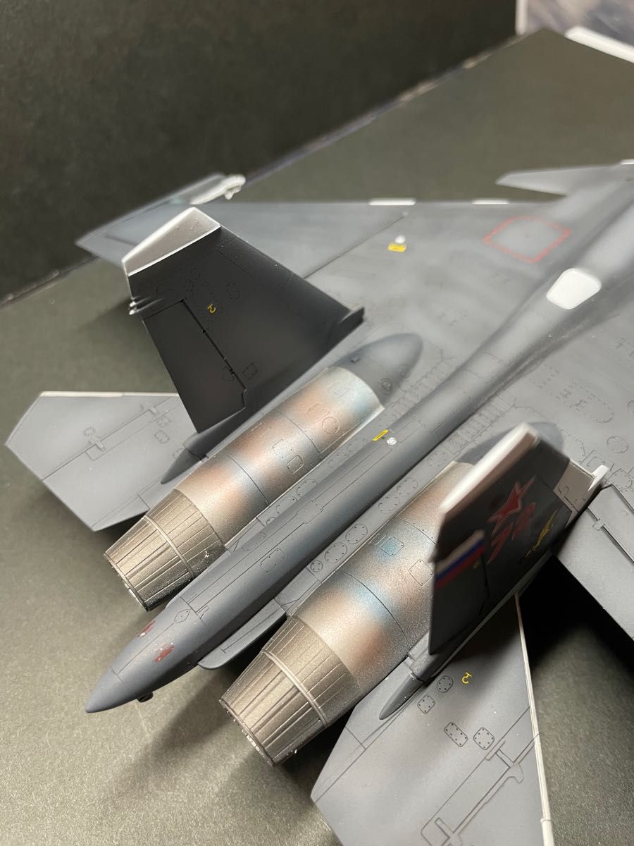 Su-33 フランカー セルジュコフ迷彩 ハセガワ 完成品