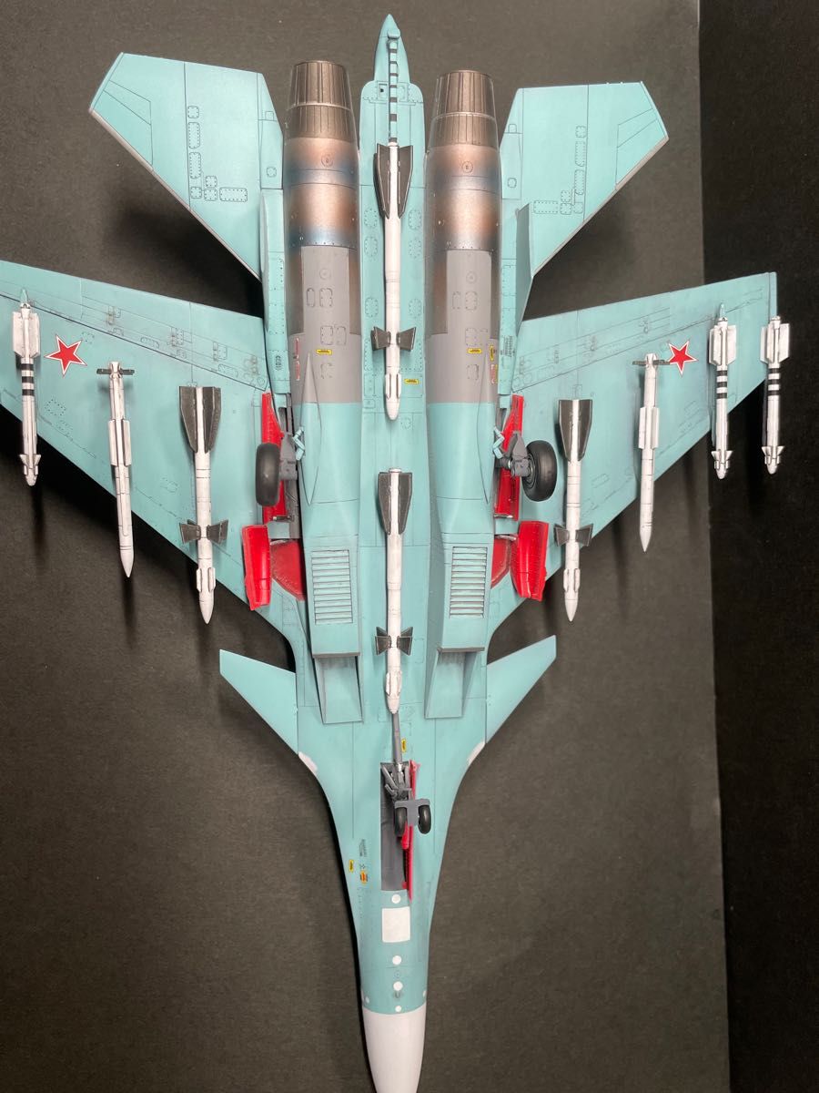 Su-33 フランカー セルジュコフ迷彩 ハセガワ 完成品