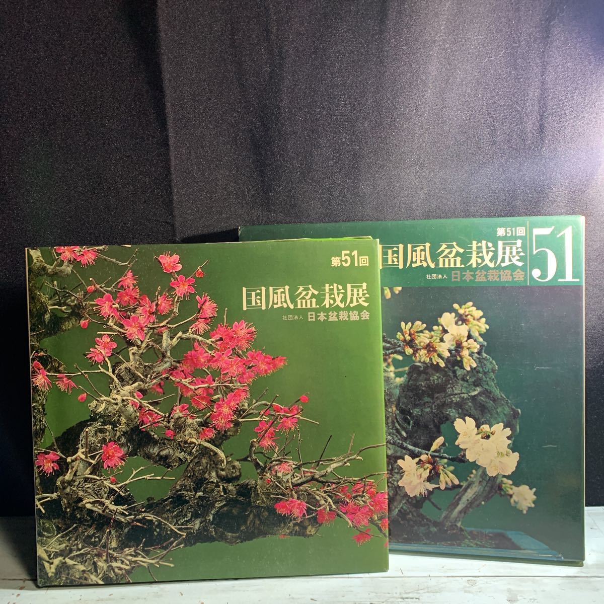 国風盆栽展 日本盆栽協会写真集 60回〜88回 29冊 - 通販 - hydro