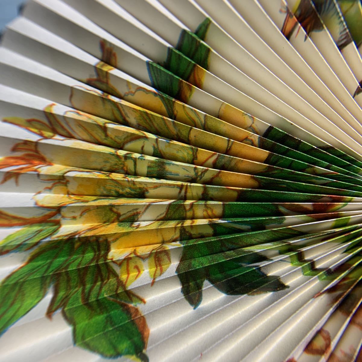  fan Chinese person . also peace country manufacture . bird flower folding .. miscellaneous goods (6372)