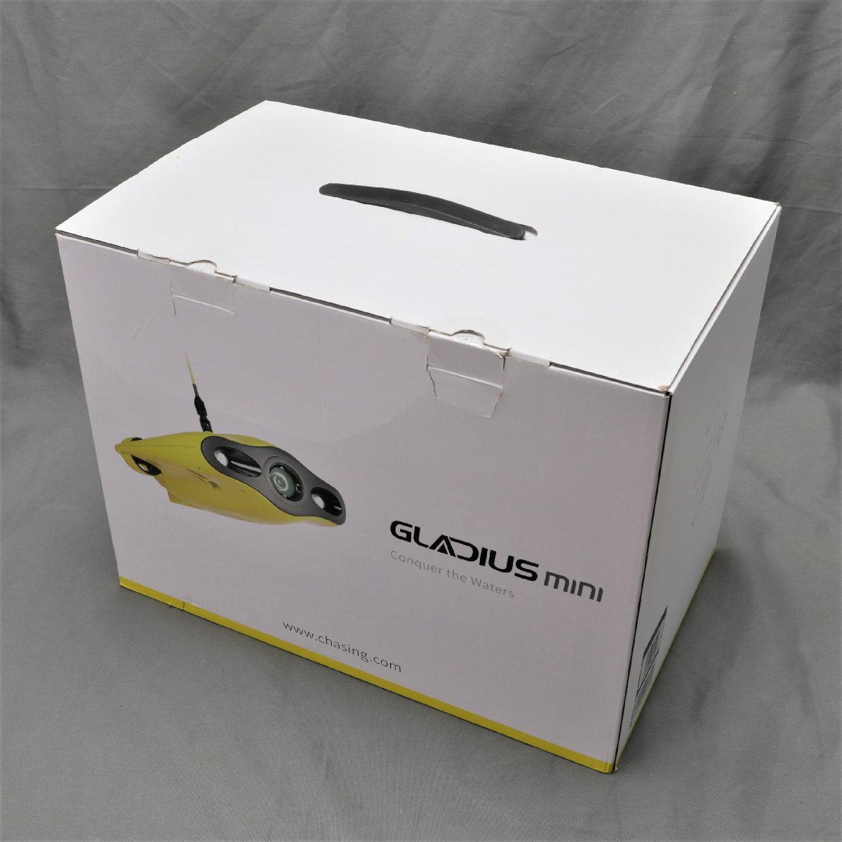 ジャンク品】CHASING(チェイシング) GLADIUS MINI グラディウス ミニ