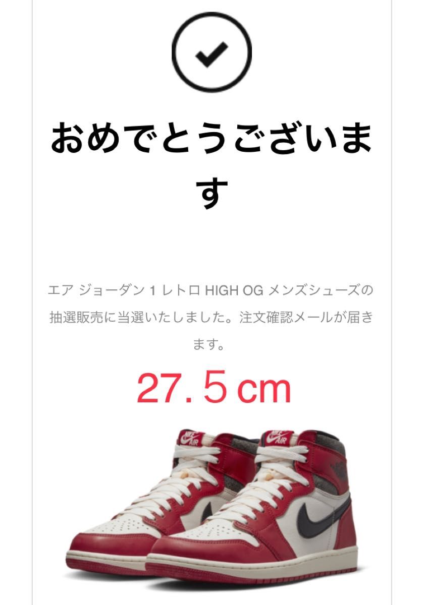 正規逆輸入品正規逆輸入品新品 ジョーダン1レトロハイ OG キッズ