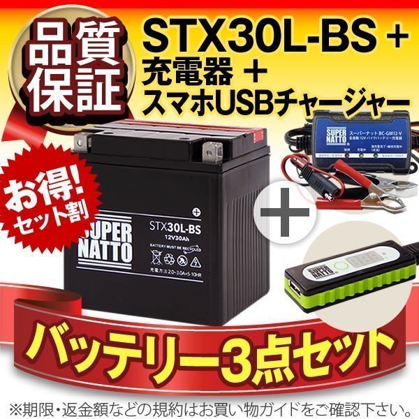 バイクでスマホ充電 USBチャージャー+充電器+ハーレー用 STX30L-BS セット