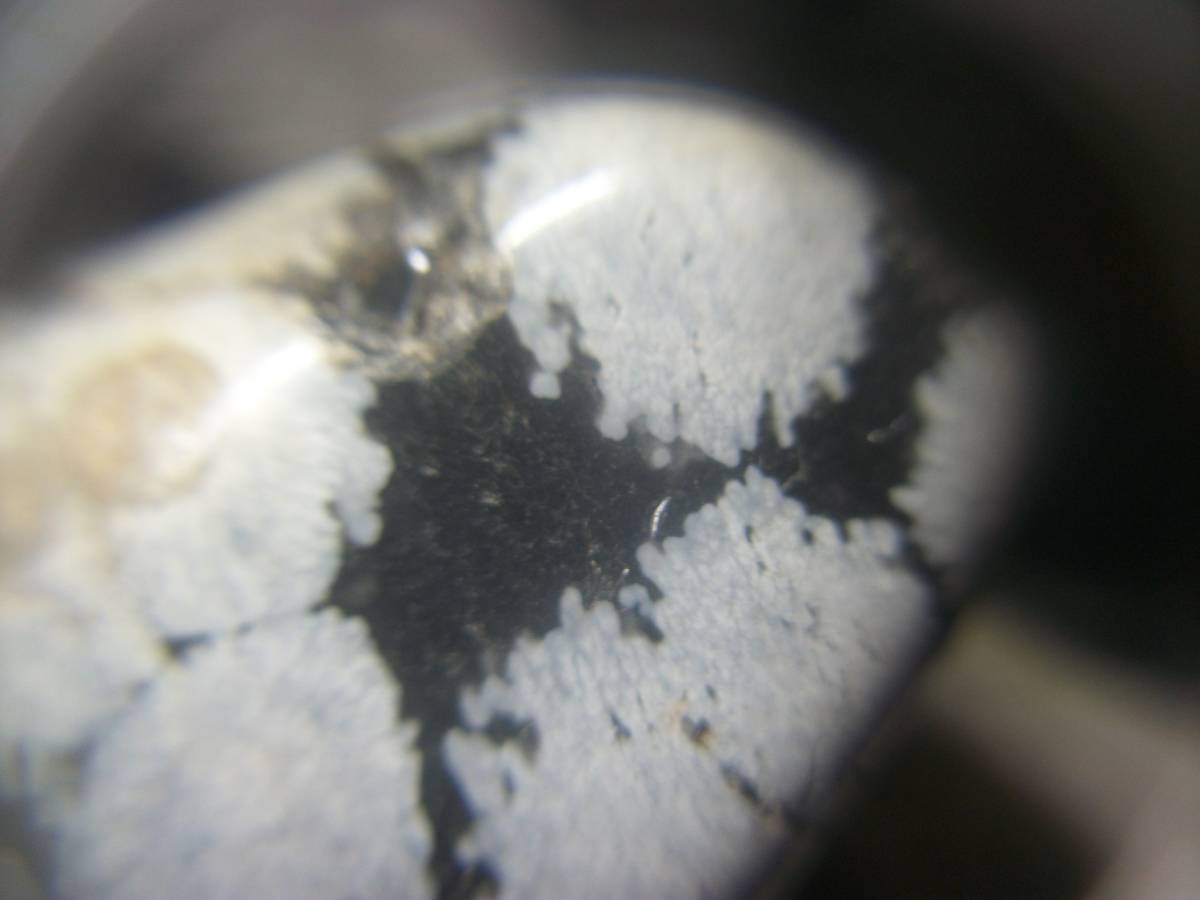 スノーフレークオブシディアン　クリストバル石入り黒曜石　磨き石　雪の結晶のような斑点　定型外発送_画像6