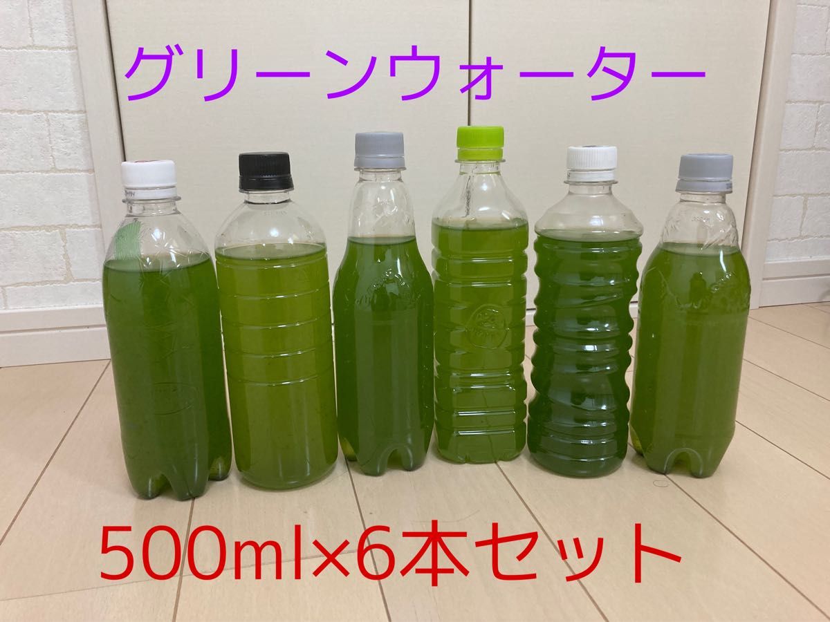 直営ストア たまやの乳酸菌 500ml 1本 めだか メダカ 餌 エサ 観賞魚 針子 ハリコ ミドリムシ PSB グリーンウォーター たまやメダカ たまやの乳酸菌 500ml(1本) めだか メダカ 餌 エサ 観賞魚 針子 ハリコ ミドリムシ PSB グリーンウォーター たまやメダカ