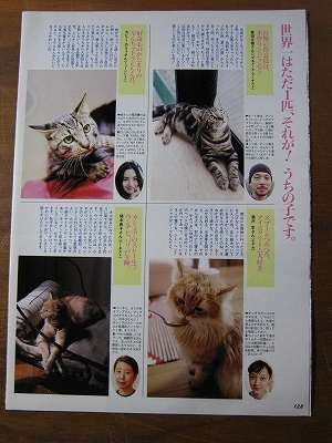 '95【愛猫を紹介】湯沢京 カヒミカリィ ♯_画像1