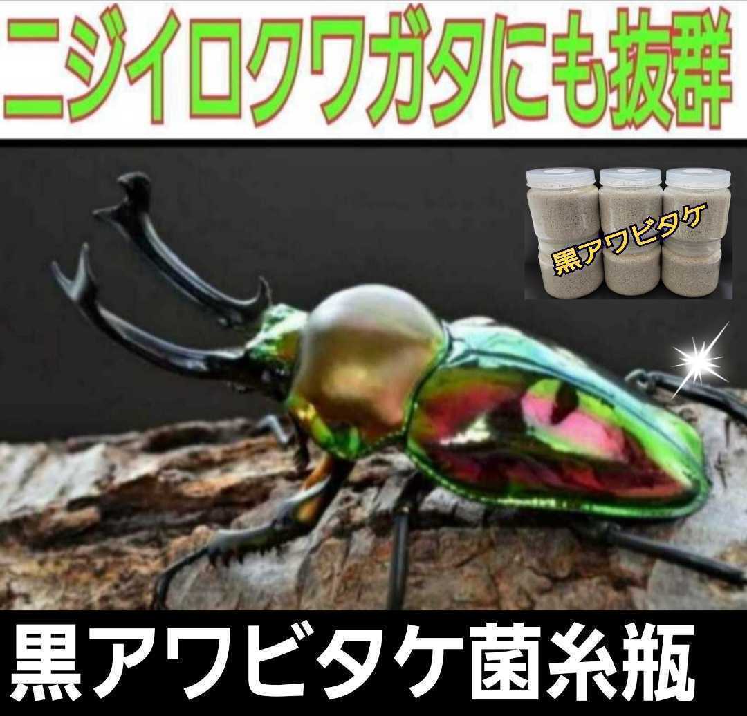 ニジイロクワガタに抜群！極上！黒アワビタケ菌糸瓶【5本】特殊アミノ酸強化配合　オオクワ、ヒラタ、ノコギリ系の初令、2令にもお薦めです_画像10