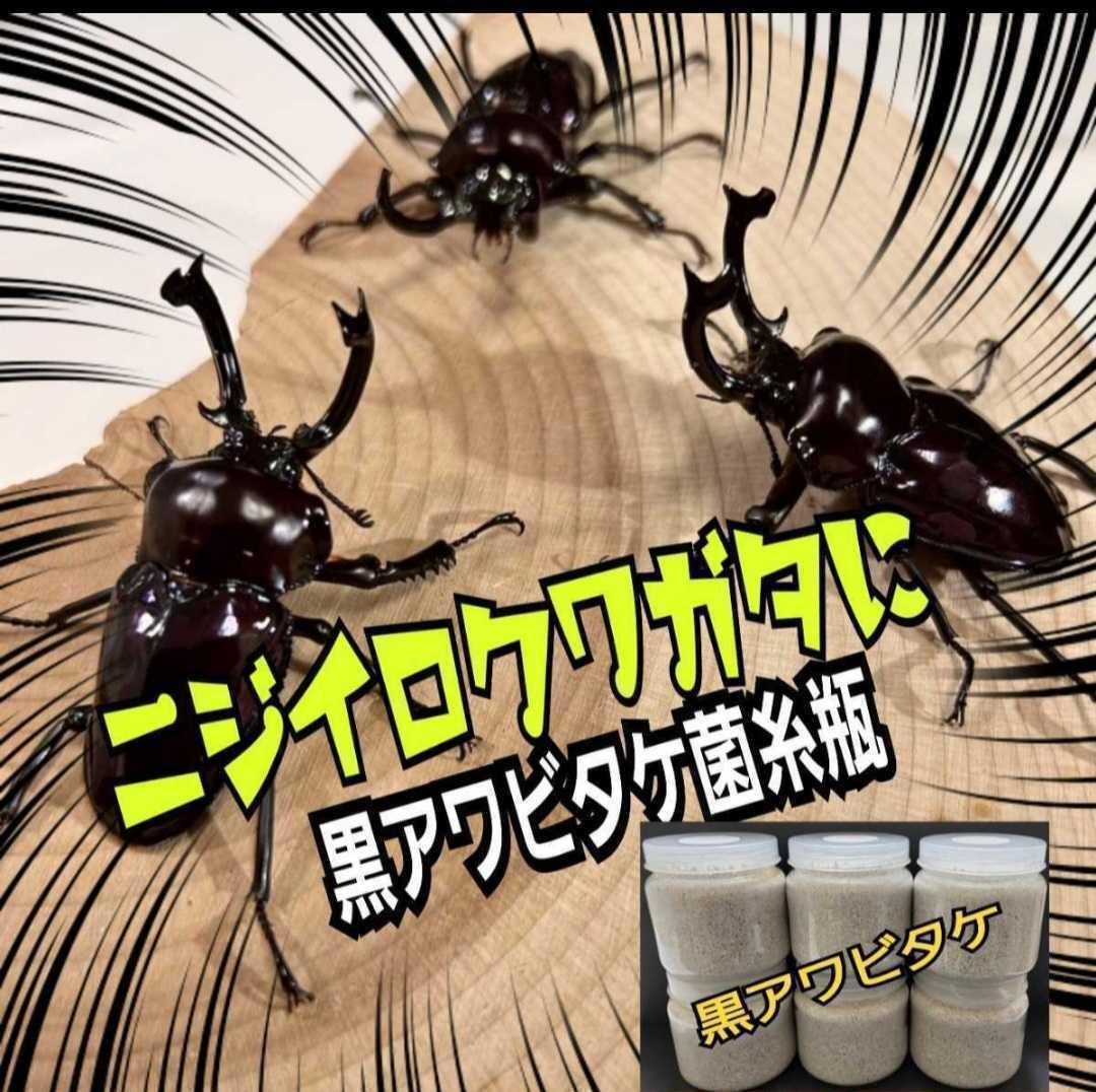 ニジイロクワガタに抜群　極上！黒アワビタケ菌糸瓶【9本】特殊アミノ酸強化配合　オオクワ、ヒラタ、ノコギリ系の初令、2令にもお薦めです_画像1