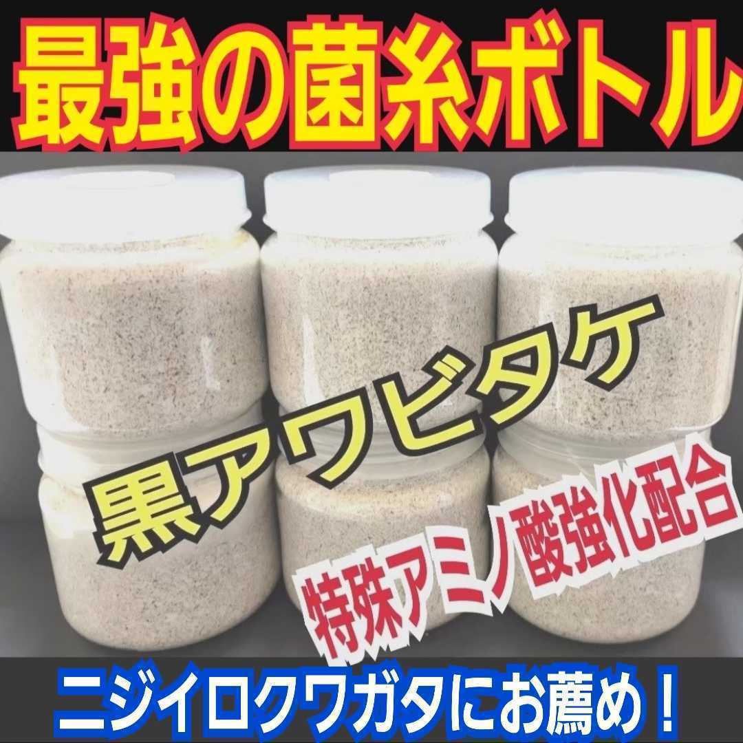 極上！黒アワビタケ菌糸瓶【8本】特殊アミノ酸強化配合　ニジイロクワガタに抜群！オオクワ、ヒラタ、ノコギリ系の初令、2令にもお薦めです_画像3