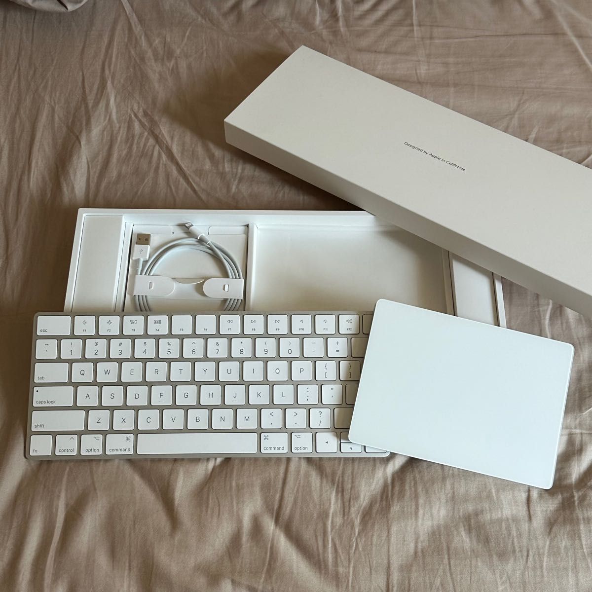 人気再入荷 マジックキーボード2 by こうたまとん's shop|ラクマ 美品
