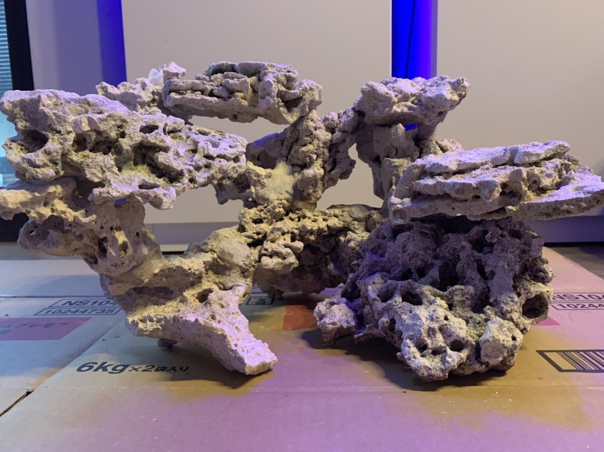 Yahoo!オークション - サンゴ岩レイアウトとマルコロック ライブ