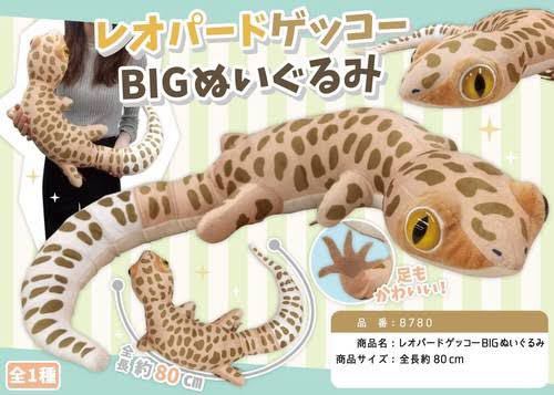 Yahoo!オークション - 送料無料 レオパードゲッコーBIG