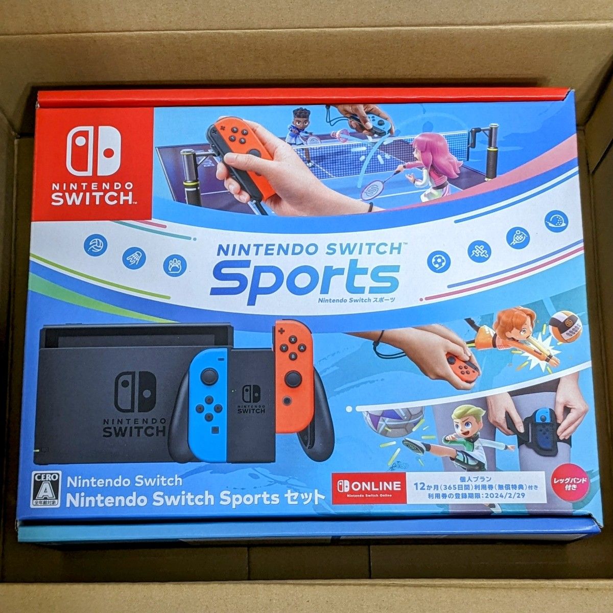 Nintendo Switch本体に、『Nintendo Switch Sports』（ダウンロード版