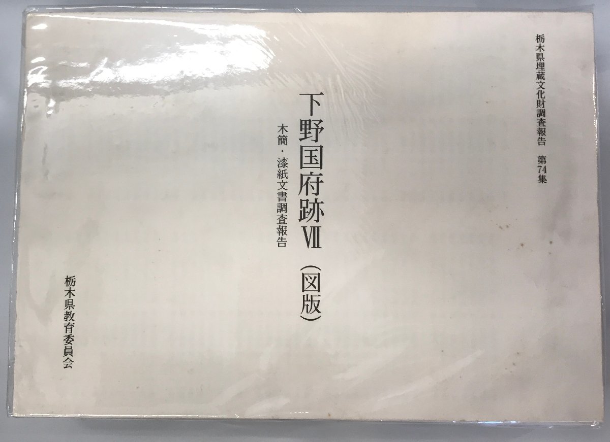 熱販売 下野国府跡VII マツノ書店 人文、社会 t114.ir