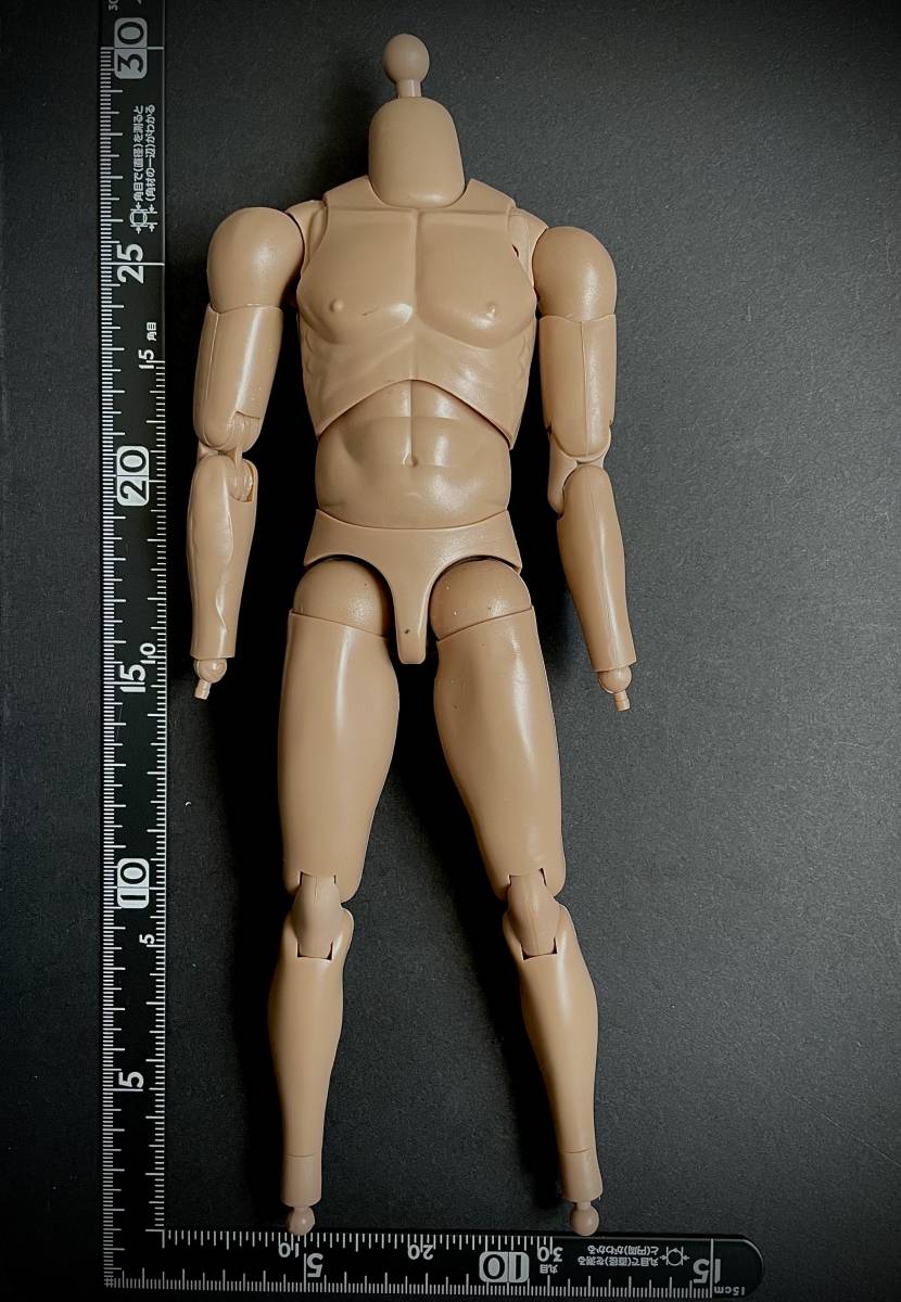 ポイント5倍 男性ヘッド 1/6スケールフィギュア 素体用 - 通販 - worldjumping.co.uk