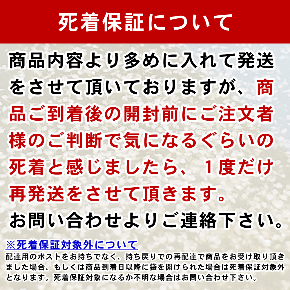 ■送料無料■タマミジンコ1g×ゾウリムシ種水400mlお得セット(ムックリワーク15g:PSB45ml×1セット:説明書付:ネコポス:死着保証あり)_画像2