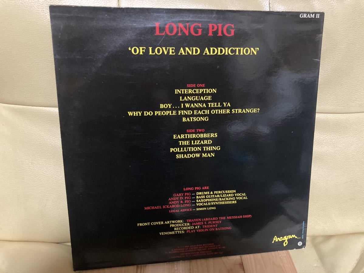 LONG PIG【LP OF LOVE AND ADDICTION】パンク天国/POSTPUNK/NEWWAVE/ポジパン/ゴス_画像2